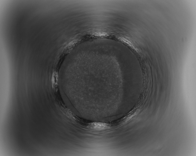 X0000096130528200801181115