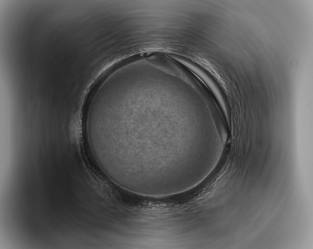 X0000096130531200801181114