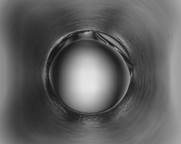 X0000096130532200801181114