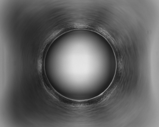 X0000096130533200801181114