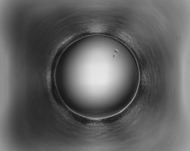 X0000096130535200801181114
