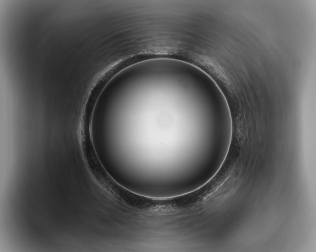 X0000096130536200801181114