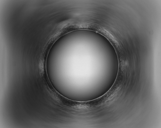 X0000096130537200801181114