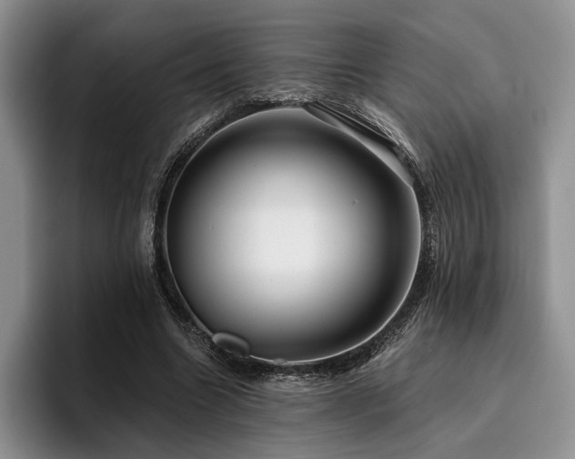 X0000096130538200801181114