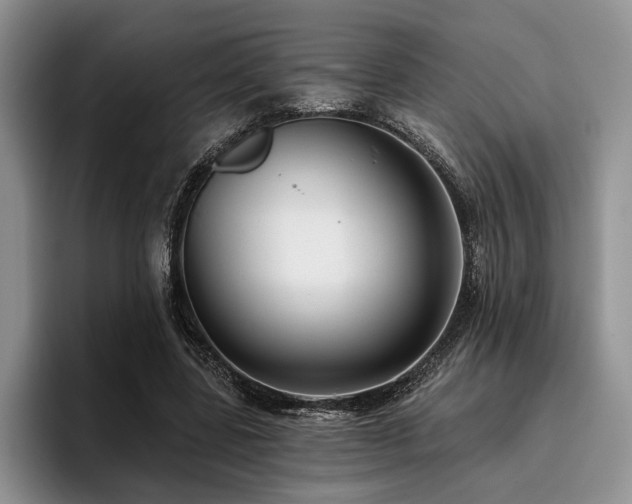 X0000096130539200801181114