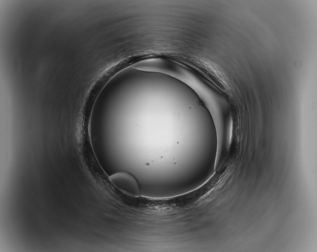 X0000096130540200801181115