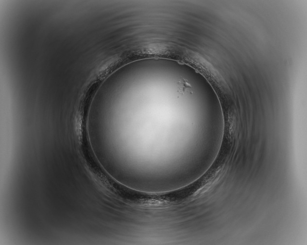 X0000096130542200801181115