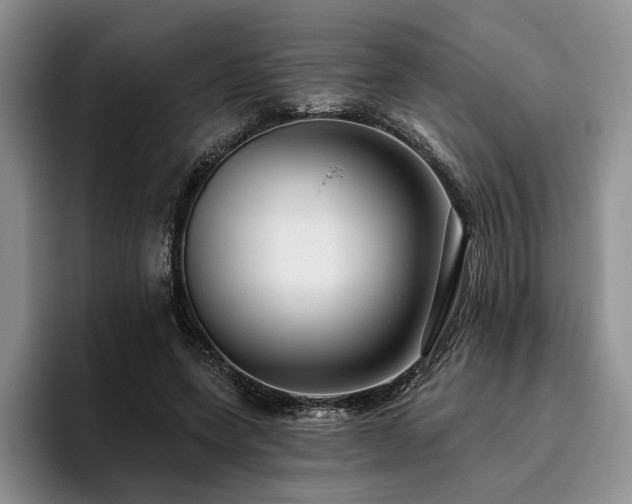 X0000096130543200801181115