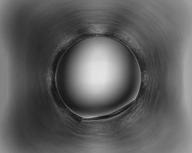 X0000096130544200801181115