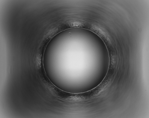 X0000096130545200801181115