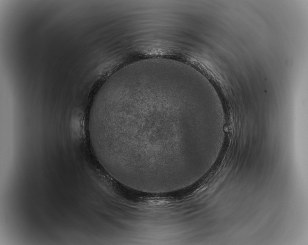 X0000096130547200801181115