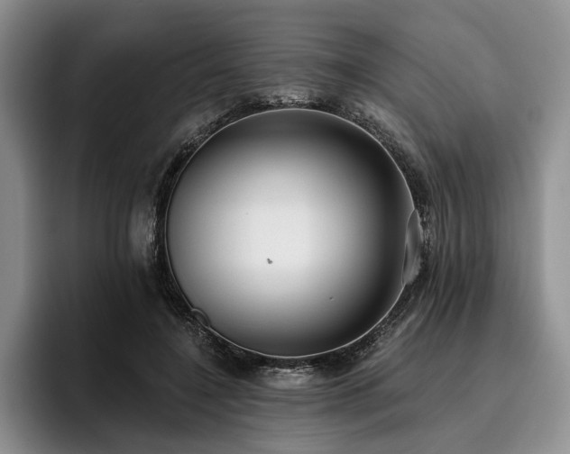 X0000096130548200801181115
