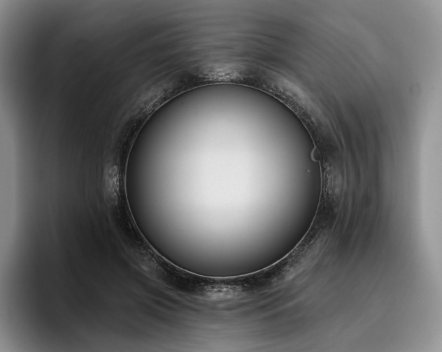 X0000096130549200801181115