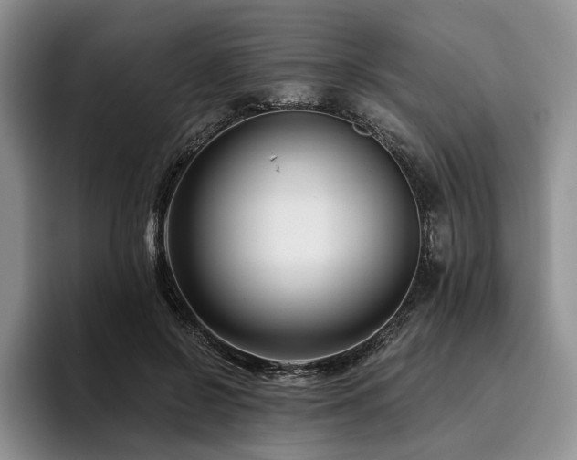 X0000096130550200801181115