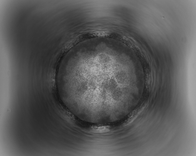X0000096130553200801181115