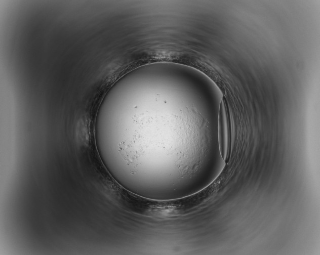 X0000096130554200801181115