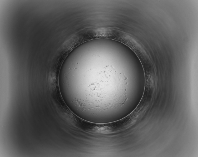 X0000096130557200801181115