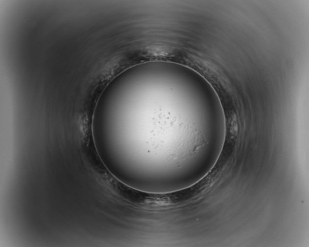 X0000096130559200801181115