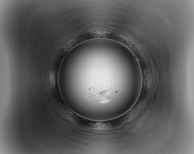 X0000096130562200801181115