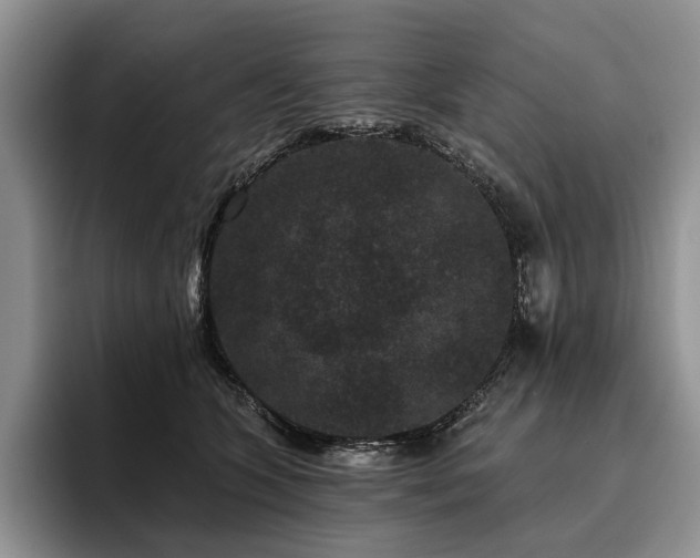 X0000096130563200801181115