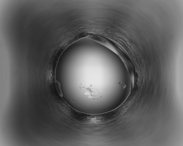 X0000096130564200801181115