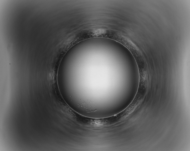 X0000096130565200801181115
