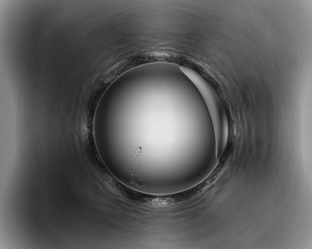 X0000096130566200801181115