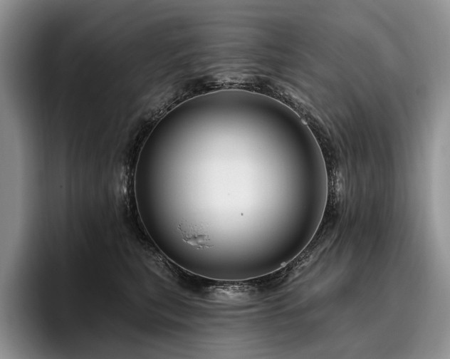 X0000096130567200801181115