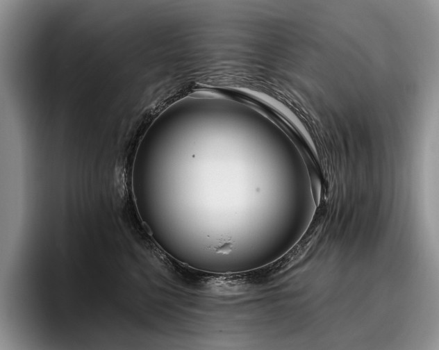 X0000096130568200801181115