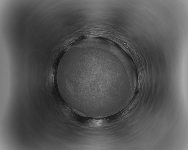 X0000096130570200801181115