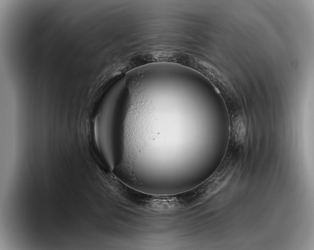 X0000096130571200801181115