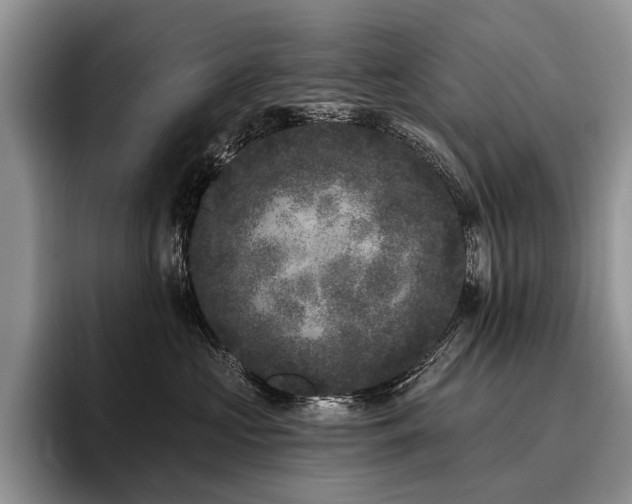 X0000096130573200801181115