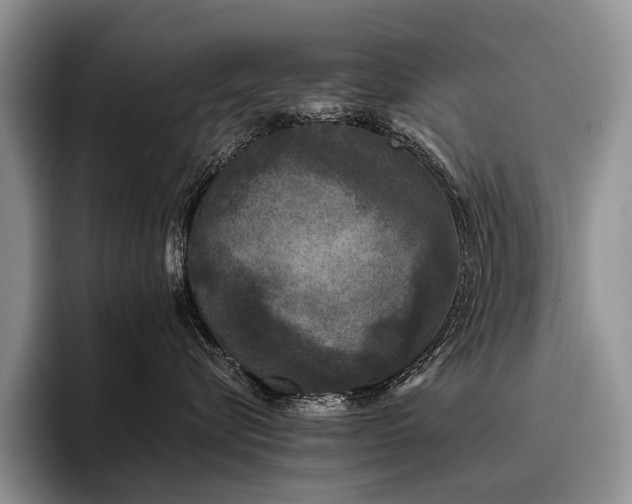 X0000096130576200801181115
