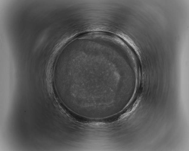 X0000096130577200801181114