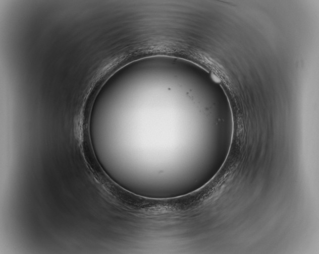 X0000096130578200801181114