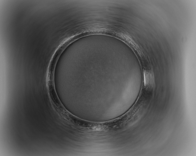 X0000096130579200801181114
