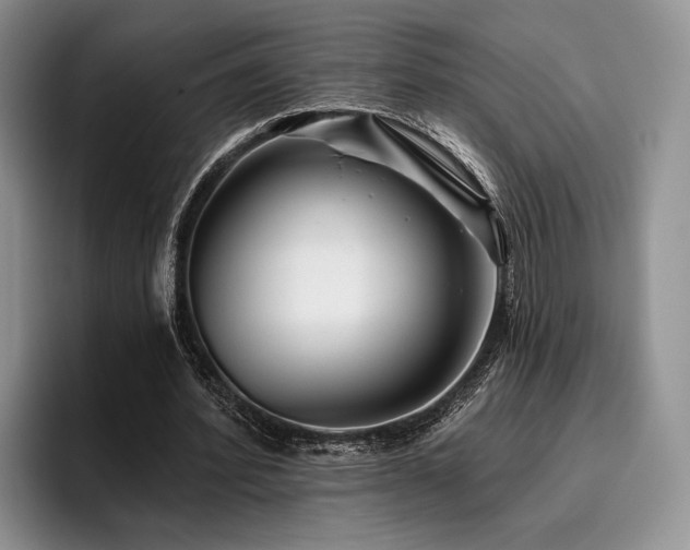 X0000096130580200801181114