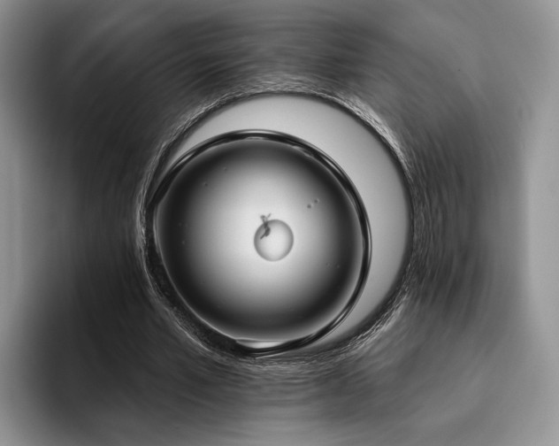 X0000096130581200801181114