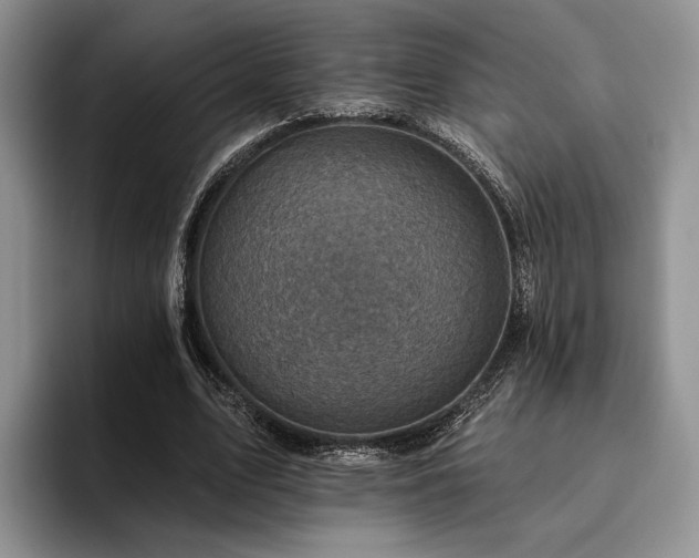 X0000096130583200801181114