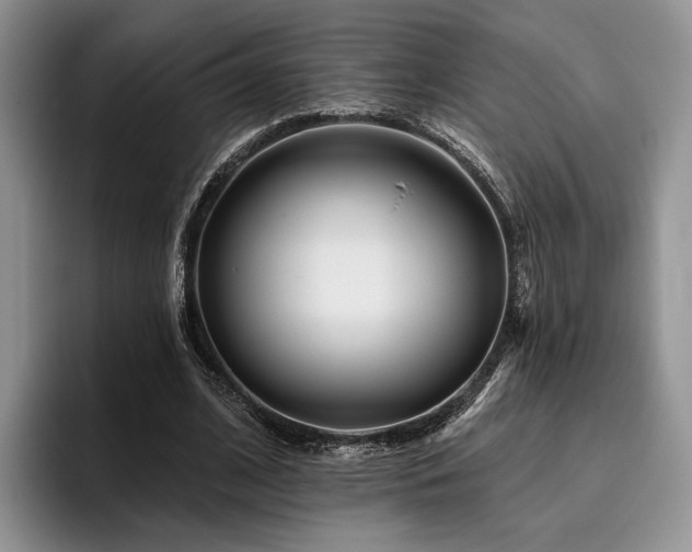 X0000096130584200801181114