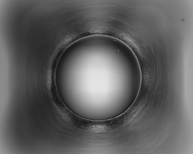 X0000096130586200801181114