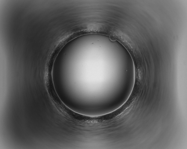 X0000096130588200801181114