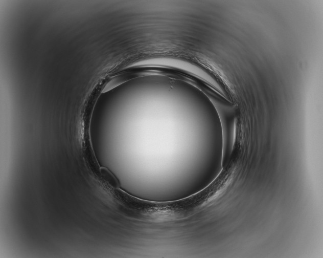X0000096130589200801181114
