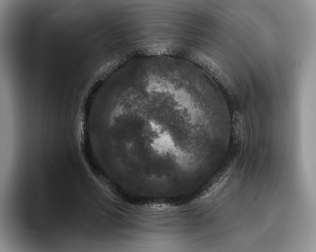 X0000096130590200801181114