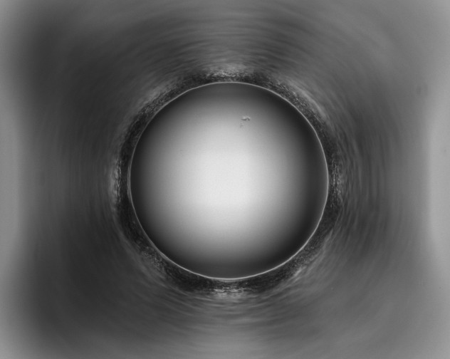 X0000096130591200801181114