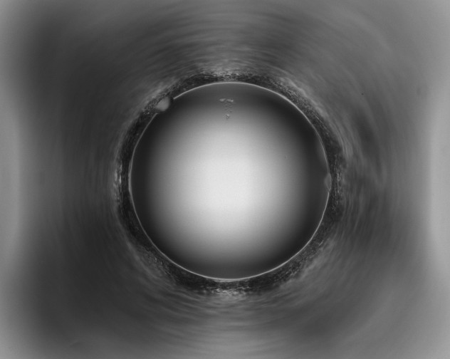 X0000096130592200801181114