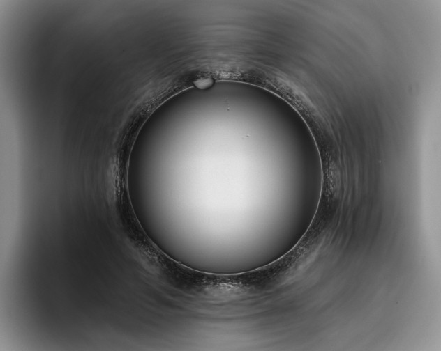 X0000096130594200801181114
