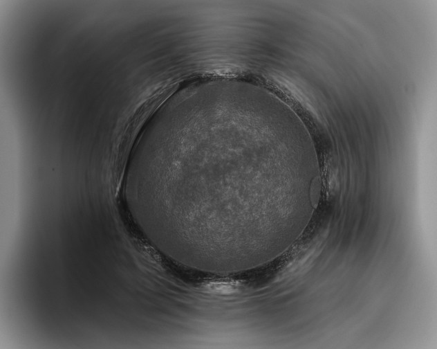 X0000096130595200801181114