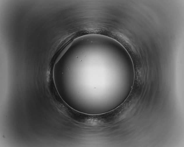 X0000096130596200801181114