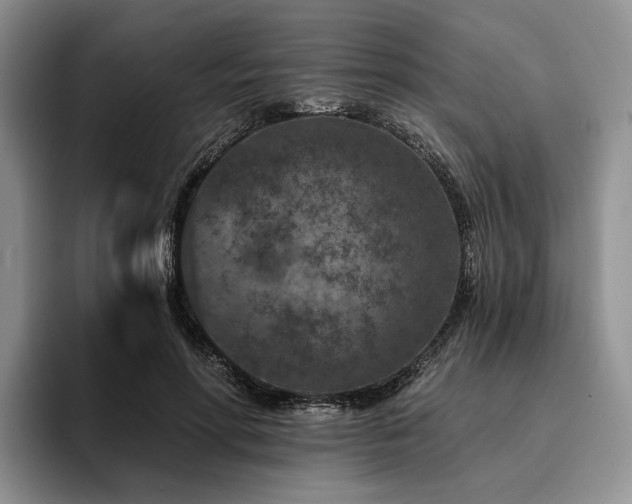 X0000096130598200801181114